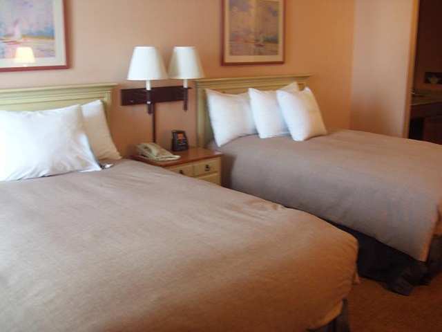 Homewood Suites By Hilton St. Petersburg Clearwater Quarto foto